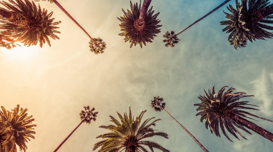 California Summer Escape